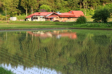 Fototapeta premium 岩手遠野 日本の原風景 新緑の季節