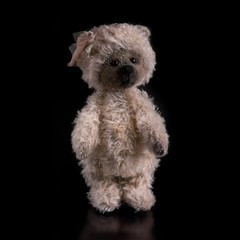 Bear toy on a black background