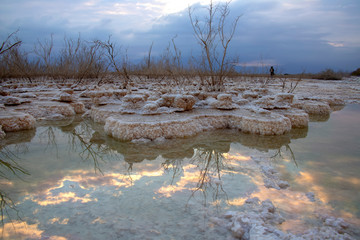 Reflection of the sky, clouds and trees in the water of the Dead Sea between salt formations at sunrise