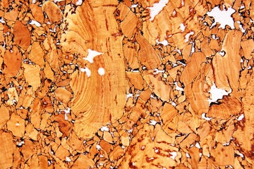 Wallpaper of a cork tree