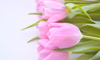 Obraz premium Beautiful gentle bright spring floral composition. Bouquet of pink tulips on a white background. Top view