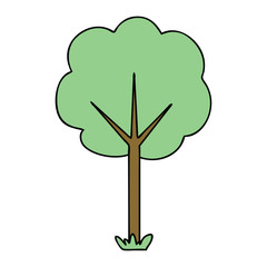 quirky hand drawn cartoon tree