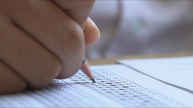 Pencil writing answer on paper answer of question in examination test.