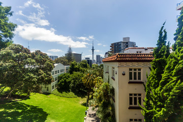 Beautiful sunny day on Myers Park in Auckland, New Zealand.