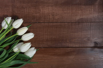 Bunch of white tulips on brown wooden table. Spring concept. Springtime, women or mothers day, copy space, spring background