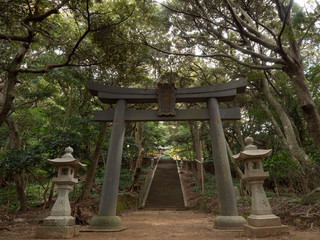 対馬　海神神社の鳥居　10月