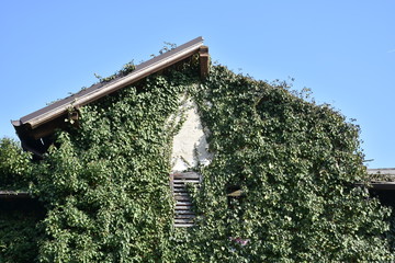 Belvedere, Kaiserin Sissi, K&K, Monarchie, Friauler Bahn, Endstation, Endbahnhof, Aufgelassen,...