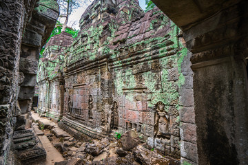 Preah Khan temple, Cabodia