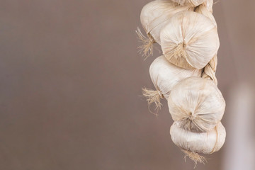 Decorative garlic pigtails