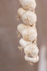 Decorative garlic pigtails