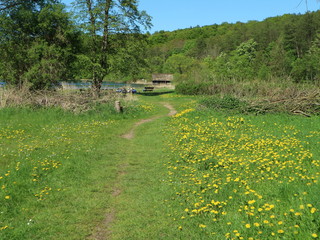 Am See im Frühling - Plauer See