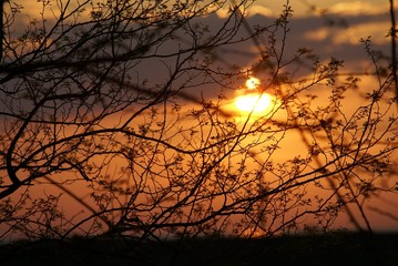 child playing at sunset