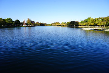 快晴の浮間公園　池