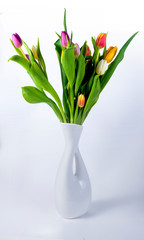 flowers tulips of different colors beautiful and picturesque bouquet