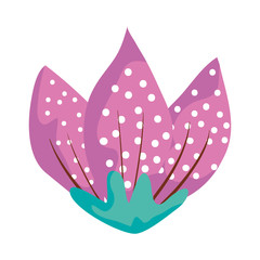 beautiful flower decorative icon