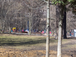 Fototapeta na wymiar people walking in the park. Spring is coming