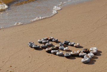 Inscription Sea of ​​small sea shells on the yellow sand of the Sea coast or the ocean shore. A wave is coming and foaming.