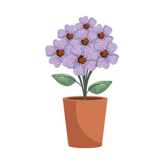floral decoration in clay pot