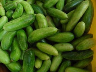 THESE ARE IVY GOURDS 