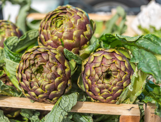 Fototapeta premium Fresh Italian Artichokes For Sale at Outdoor Italian Food Market