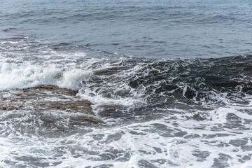 Fresh Italian Tomatoes For Sale at Outdoor Italian Food Market