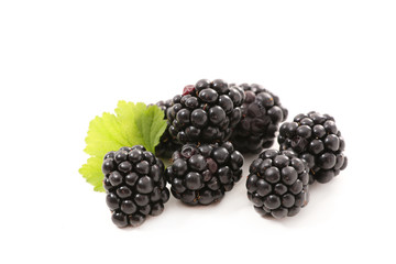 blackberry isolated on white background