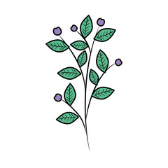 branch with leafs plant