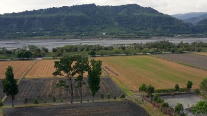 Rice meadow field from the above