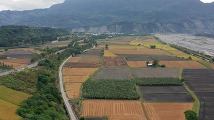 Drone fly over paddy rice field