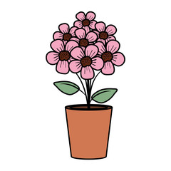 floral decoration in clay pot