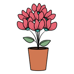 floral decoration in clay pot