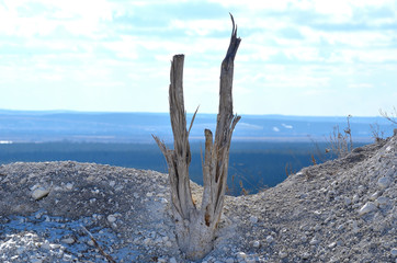 Nature of Ukraine