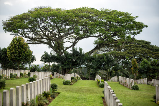 「Kranji」の写真素材 | 118件の無料イラスト画像 | Adobe Stock