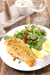 grilled chicken fillet and salad