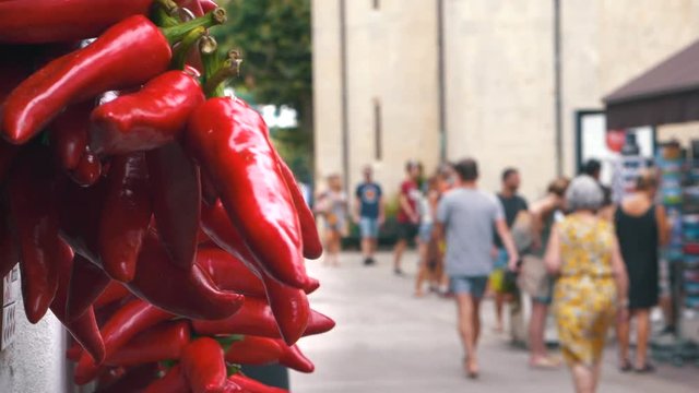 Piment d'Espelette red pepper sculpture street Basque France
