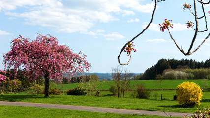 Fototapete bei efototapeten.de bestellen   