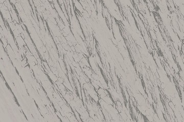 Fototapeta premium Gray Bark Texture