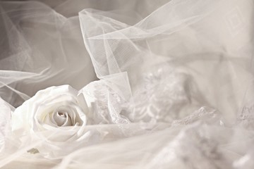 White wedding veil with white rose. Abstract background.