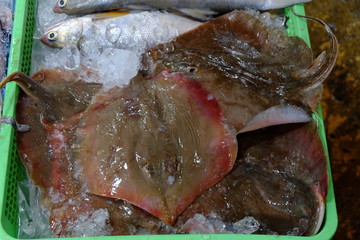 Mantra fish in market , Sea fish in stall.