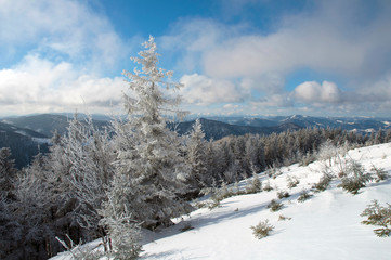 frosty day on the top of the mountain