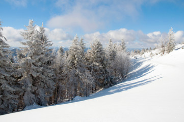 Obraz premium frosty day on the top of the mountain