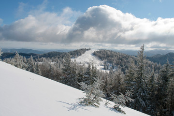 Fototapeta na wymiar frosty day on the top of the mountain