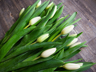 freshly cut white tulips on wooden surface