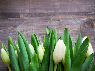 freshly cut white tulips on wooden surface