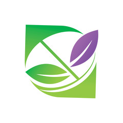 Leaf Logo Design Vector Template Set