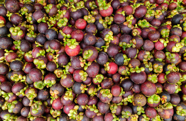 Mangosteen The Queen of Fruits
