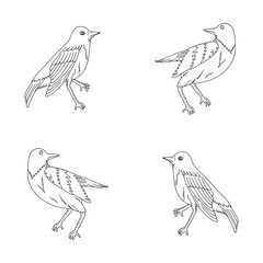 Fototapeta premium Hand drawn nightingales for coloring