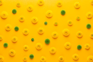 Yellow flower pattern on a yellow background.  Spring greeting card.