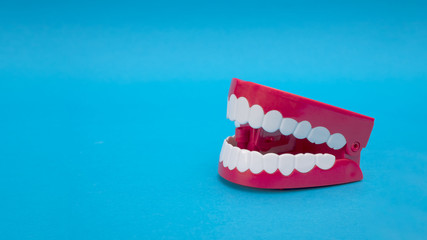 Plastic Modeling tooth and gum toys on a blue background.