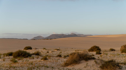 Corralejo sand dunes, Fuerteventura